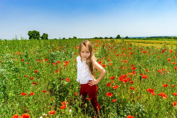 Cute little girl playing in red poppies field summer day, beauty — Stock Photo, Image