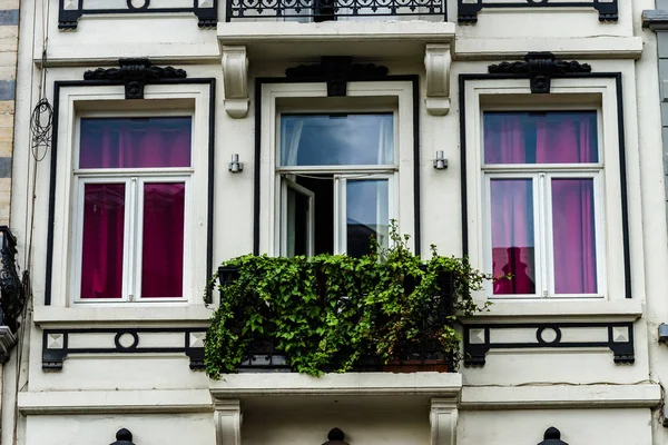 Gamla men renoverade fönster i historiska delen av Bruxelles — Stockfoto
