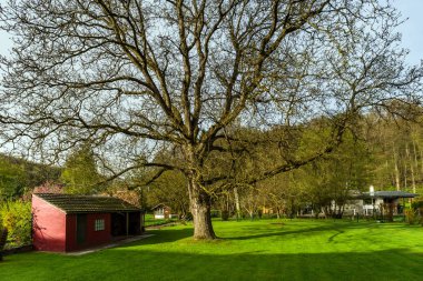 Yeşil çimenlerin üzerinde güneşin altında özel Bahçe