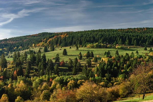 Kolorowe jesienne lasów w Alzacja, Francja — Zdjęcie stockowe