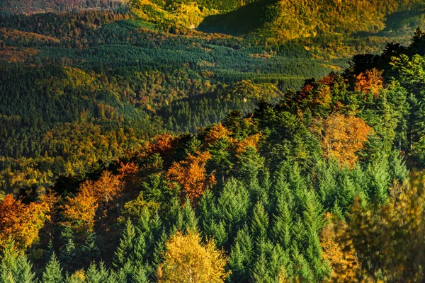 Coloridos bosques otoñales en Alsacia, Francia — Foto de Stock