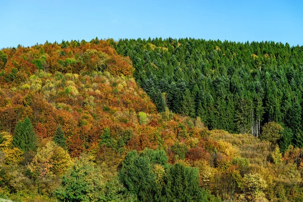 Красочные осенние леса Эльзаса, Франция — стоковое фото