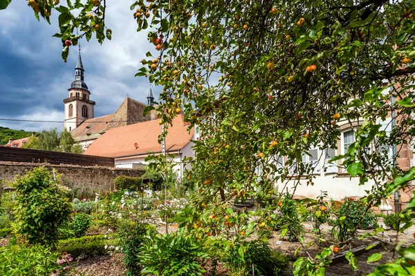 Laatste bloei in de herfst tuintje — Stockfoto