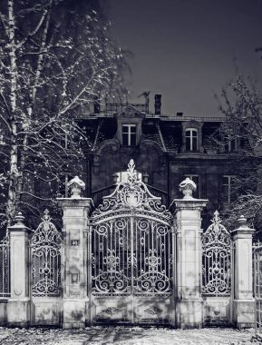 Görkemli Dövme demir kafes gates, gece görüş, kış
