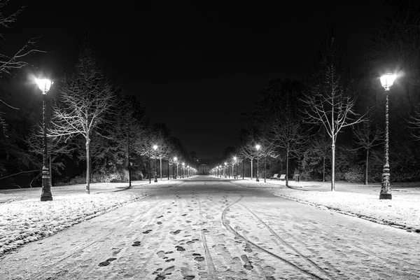 Night in the park after snowfall. White road, benches, street la — Stock Photo, Image