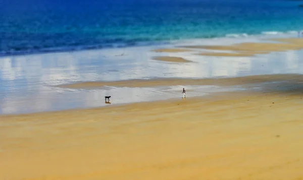 Uomo che gioca con il suo cane sulla sabbia della spiaggia, Bretagne — Foto Stock