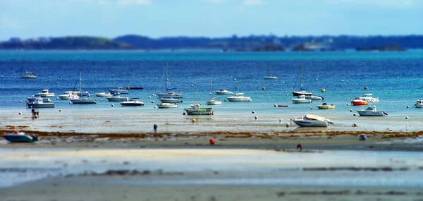 Collectors of mussels on Brittany seaside while low tide water — Stock Photo, Image