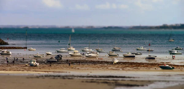Colectores de mexilhões à beira-mar da Bretanha enquanto a água da maré baixa — Fotografia de Stock