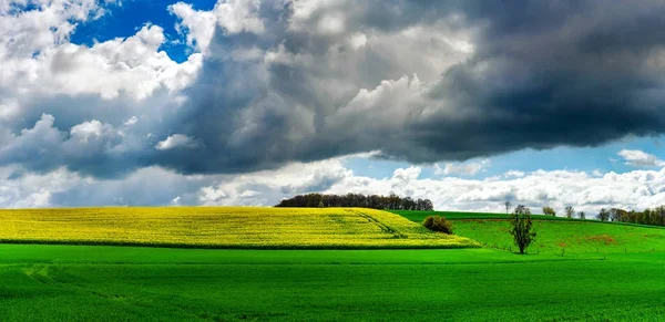 Schöne ländliche Landschaft mit lebhaftem grünen Feld und weißen Wolken — Stockfoto