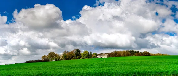 생생한 녹색 필드와 흰 구름이 아름 다운 농촌 풍경 — 스톡 사진