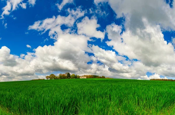 Mooie landelijke omgeving met levendige groen veld en witte wolk — Stockfoto