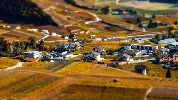 Vista aérea inclinada das vinhas outonais na Suíça — Fotografia de Stock