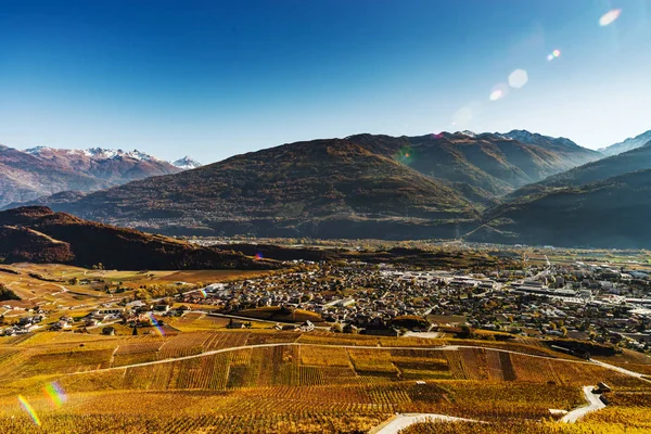 Arrugginito colorato viti autunnali paesaggio vista aerea — Foto Stock