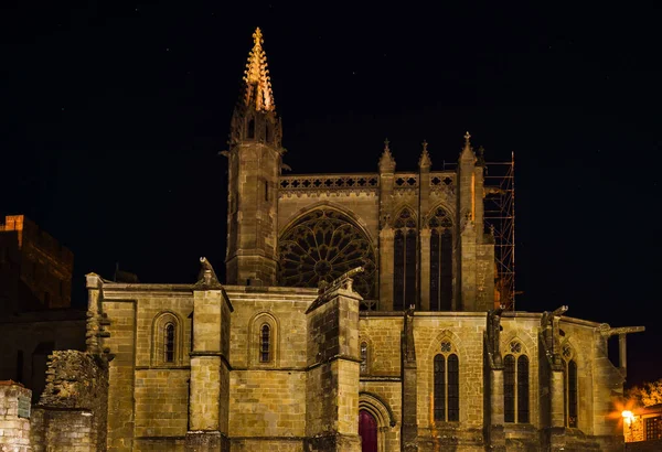 Majestueuze kathedraal in Carcassonne uitzicht op de middeleeuwse stad, nacht — Stockfoto