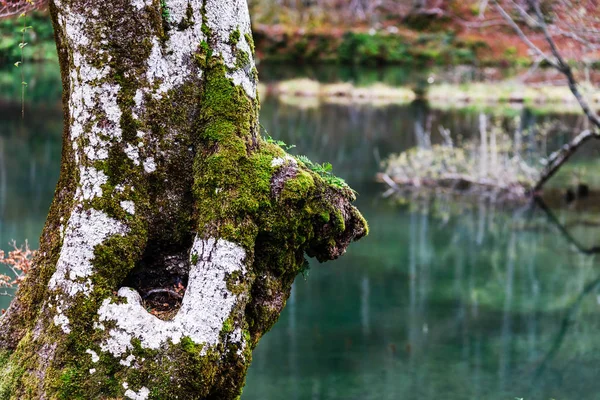 Природный осенний пейзаж, озеро в высоких горах, Lac de B — стоковое фото