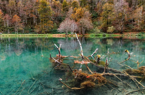 Paysage naturel automnal, lac en haute montagne, Lac de B — Photo