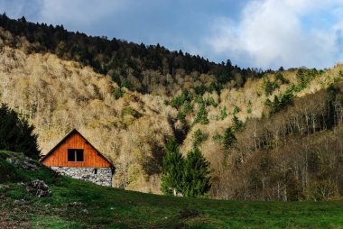 Yalnız küçük bir evde yüksek orman arka plan, dağlardaki s