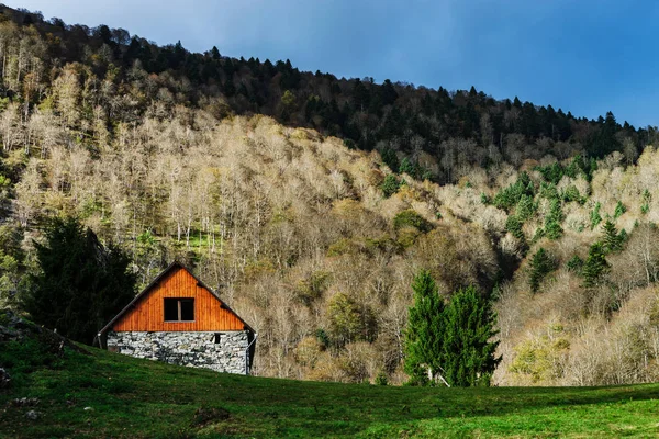 Yalnız küçük bir evde yüksek orman arka plan, dağlardaki s — Stok fotoğraf