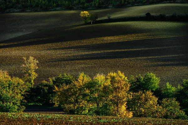 Schöne grüne und gelbe Hügel bei Sonnenuntergang, französische Toskana — Stockfoto