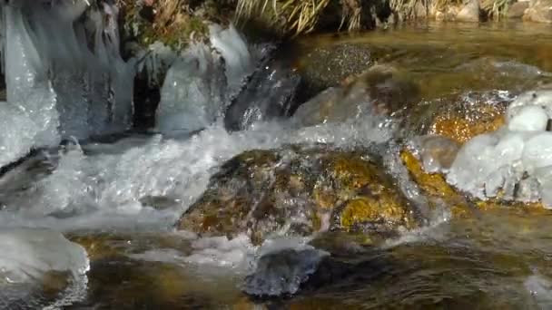 滝山川スロー モーション ビュー 清らかさおよび自然の新鮮さ 冬の晴れた日 雪と美しい氷 — ストック動画