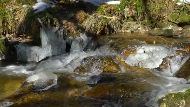 Водоспади Гірській Річці Повільний Вид Яскравість Свіжість Природи Зимовий Сонячний — стокове відео