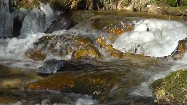 Vattenfall Floden Slowmotion Bergsutsikt Clearness Och Friskhet Naturen Solig Vinterdag — Stockvideo