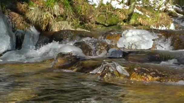 Cachoeiras Rio Montanha Vista Câmera Lenta Clareza Frescura Natureza Dia — Vídeo de Stock