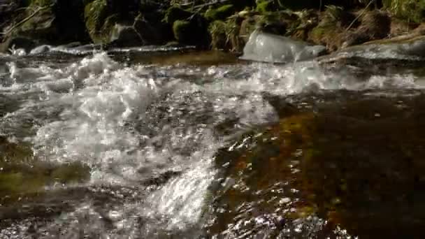 Cascate Sul Fiume Montagna Vista Rallentatore Chiarezza Freschezza Della Natura — Video Stock