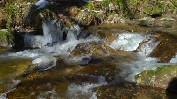 Водопады Святых Зиму Лед Жара Германия Blackforest — стоковое видео