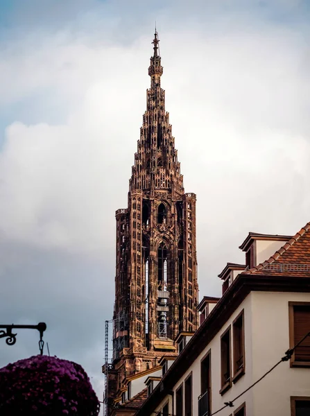 Detalles de la Catedral de Estrasburgo. Arquitectura y escultura —  Fotos de Stock
