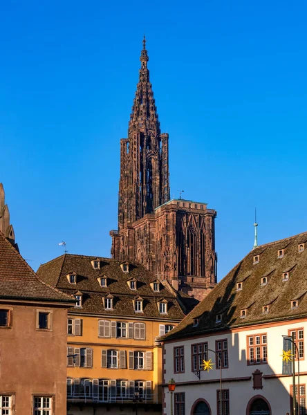 Strasbourg Katedrali 'nin detayları. Mimari ve heykel — Stok fotoğraf