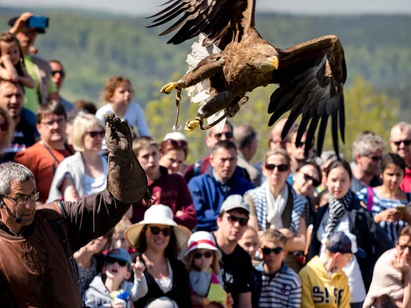 Lichtenberg, France - May 1, 2019: Medieval festival with costum — Stock Photo, Image