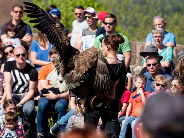 Lichtenberg, France - May 1, 2019: Medieval festival with costum — Stock Photo, Image