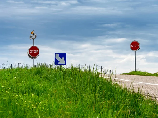 Crossroads of asphalt roads in a clean floor. Green grass and road signs. France