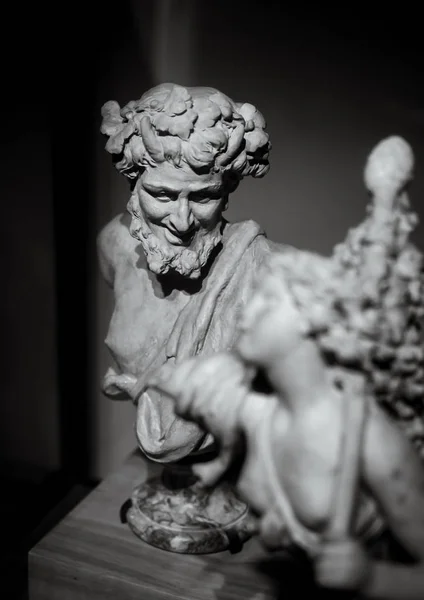 Buste Classique Image Sculpturale Tête Homme Musées Monde Entier — Photo
