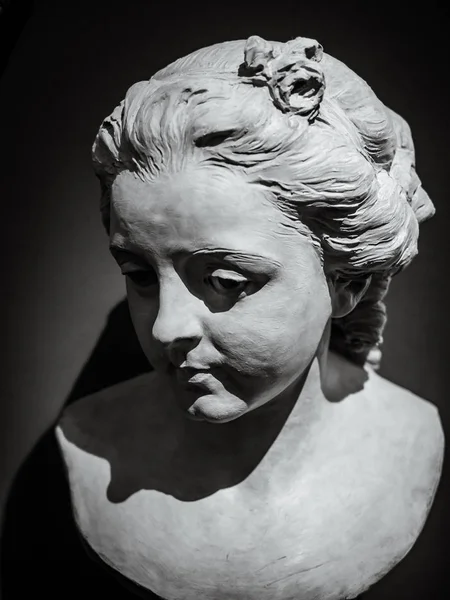 Klassische Büste Skulpturales Bild Eines Männerkopfes Museen Der Welt — Stockfoto