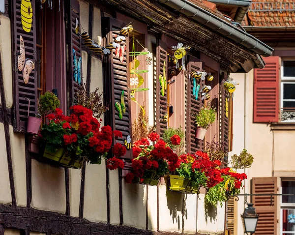 Classic Alsatian Windows Half Timbered House Decorated Wooden Carvings Flowers — Stock Photo, Image