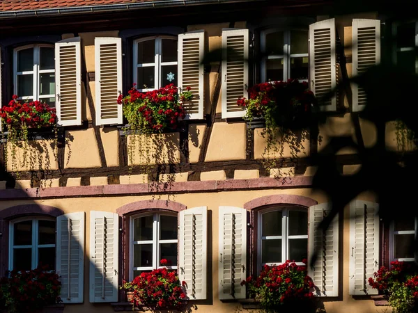 Klasická Alsaská Okna Poloroubeném Domě Zdobená Dřevěnými Řezbami Květinami Francie — Stock fotografie