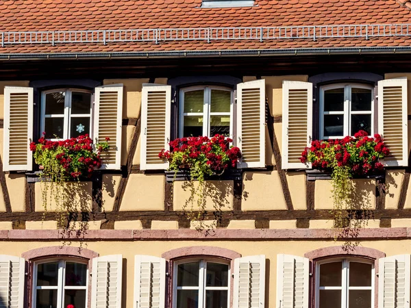 Classic Alsatian Windows Half Timbered House Decorated Wooden Carvings Flowers — Stock Photo, Image