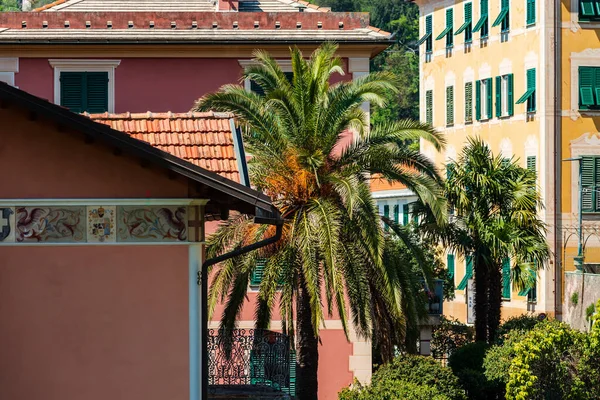 Paisaje Urbano Italiano Brillante Colorido Calles Soleadas Casas Coloridas Cálido —  Fotos de Stock