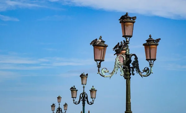 Venedik Teki Mark Meydanı Güneşli Bir Günde Uzun Çan Kulesi — Stok fotoğraf