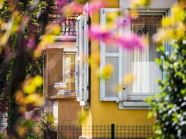 Przytulny Ogród Pobliżu Domu Pięknymi Oknami Okiennicami Spokój Komfort Francja — Zdjęcie stockowe