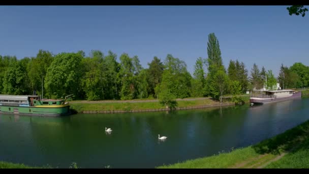 Deux cygnes blancs nagent doucement et en douceur dans l'eau calme et calme du canal, sur lequel se tient une péniche résidentielle amarrée .