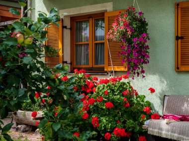 Alsace 'de çiçek açan bir köy. Çiçeklerle dolu güneşli sokaklar. Fransa