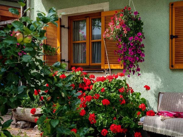 Vila Florida Alsácia Ruas Iluminadas Pelo Sol Cheias Flores França — Fotografia de Stock