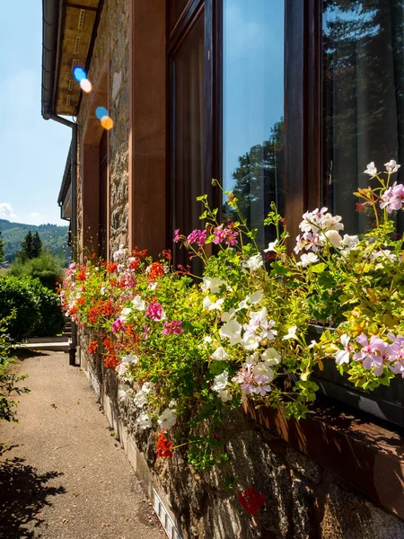 Alsace Çiçek Açan Bir Köy Çiçeklerle Dolu Güneşli Sokaklar Fransa — Stok fotoğraf