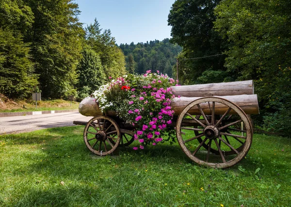 Blomsterlandsby Alsace Vogn Med Kubber Dekorert Med Blomster Frankrike – stockfoto