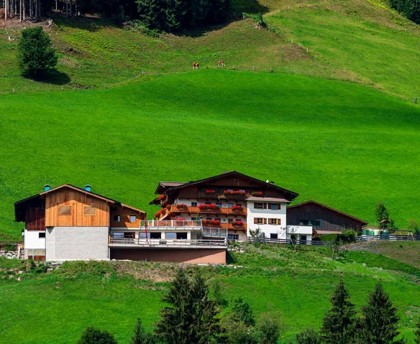 Colinas Verdes Resort Alpino Áustria Verão Pequena Aldeia Hotéis Chalés — Fotografia de Stock