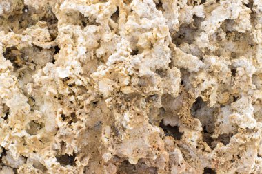 doku Rakushnjak veya coquina