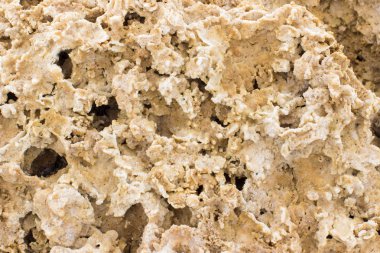 doku Rakushnjak veya coquina